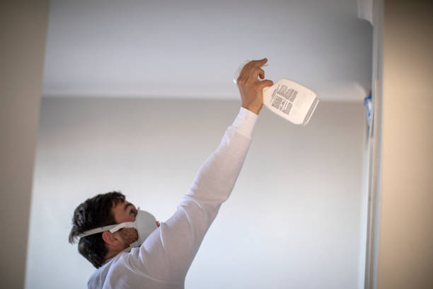 Best Residential Mold Remediation in Leo Cedarville, IN
