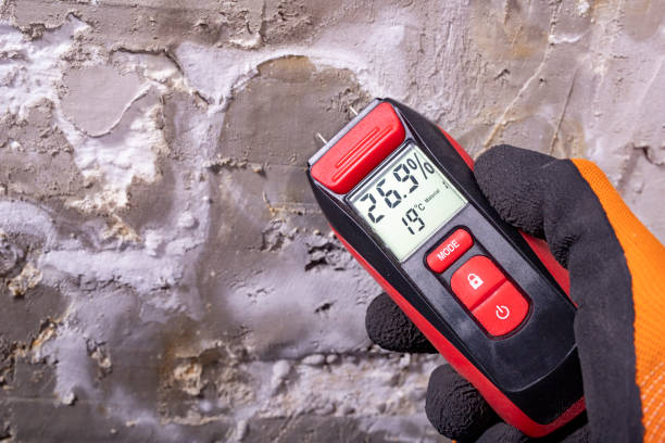 Best Localized Mold Remediation (e.g., coastal areas, humid climates) in Leo Cedarville, IN