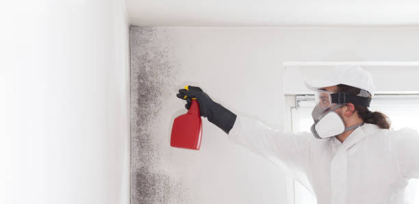 Best Industrial Mold Remediation in Leo Cedarville, IN