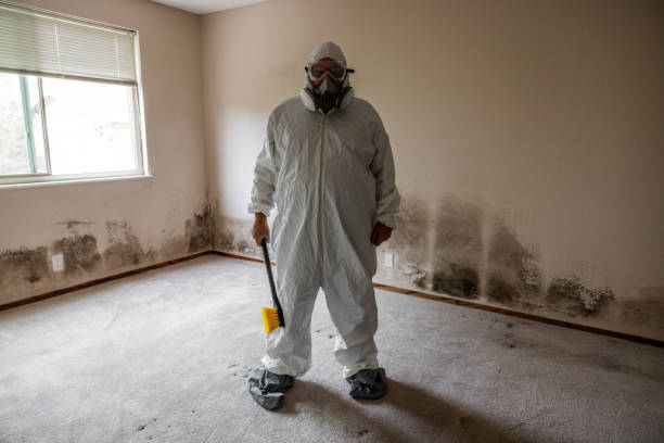 Best Bathroom Mold Remediation in Leo Cedarville, IN